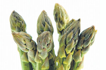 asparagus01161800